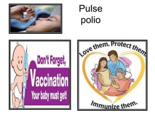 Pulse
polio
 