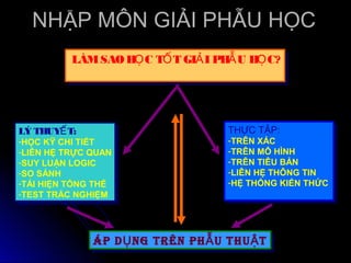 NHẬP MÔN GIẢI PHẪU HỌC
          LÀM SAO HỌ C TỐ T GIẢ I PHẪ U HỌ C?
          LÀM SAO HỌ C TỐ T GIẢ I PHẪ U HỌ C?




LÝ THUYẾ T:
LÝ THUYẾ T:                         THỰC TẬP:
                                    THỰC TẬP:
-HỌC KỸ CHI TIẾT
 -HỌC KỸ CHI TIẾT                   -TRÊN XÁC
                                     -TRÊN XÁC
-LIÊN HỆ TRỰC QUAN
 -LIÊN HỆ TRỰC QUAN                 -TRÊN MÔ HÌNH
                                     -TRÊN MÔ HÌNH
-SUY LUẬN LOGIC
 -SUY LUẬN LOGIC                    -TRÊN TIÊU BẢN
                                     -TRÊN TIÊU BẢN
-SO SÁNH
 -SO SÁNH                           -LIÊN HỆ THÔNG TIN
                                     -LIÊN HỆ THÔNG TIN
-TÁI HIỆN TỔNG THỂ
 -TÁI HIỆN TỔNG THỂ                 -HỆ THỐNG KIẾN THỨC
                                     -HỆ THỐNG KIẾN THỨC
-TEST TRẮC NGHIỆM
 -TEST TRẮC NGHIỆM




              ÁP D Ụ NG TRÊN PH Ẫ U THU Ậ T
              ÁP D Ụ NG TRÊN PH Ẫ U THU Ậ T
 