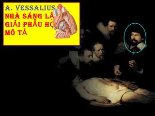A. VESSALIUS
A. VESSALIUS
NHÀ SÁNG L Ậ P
NHÀ SÁNG L Ậ P
GI Ả II PH Ẫ U H Ọ C
GI Ả PH Ẫ U H Ọ C
MÔ TẢ
MÔ TẢ
 