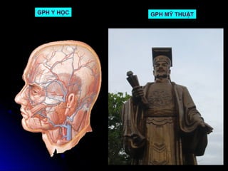 GPH Y HỌC   GPH MỸ THUẬT
 