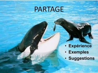 PARTAGE 
• Expérience 
• Exemples 
• Suggestions 
