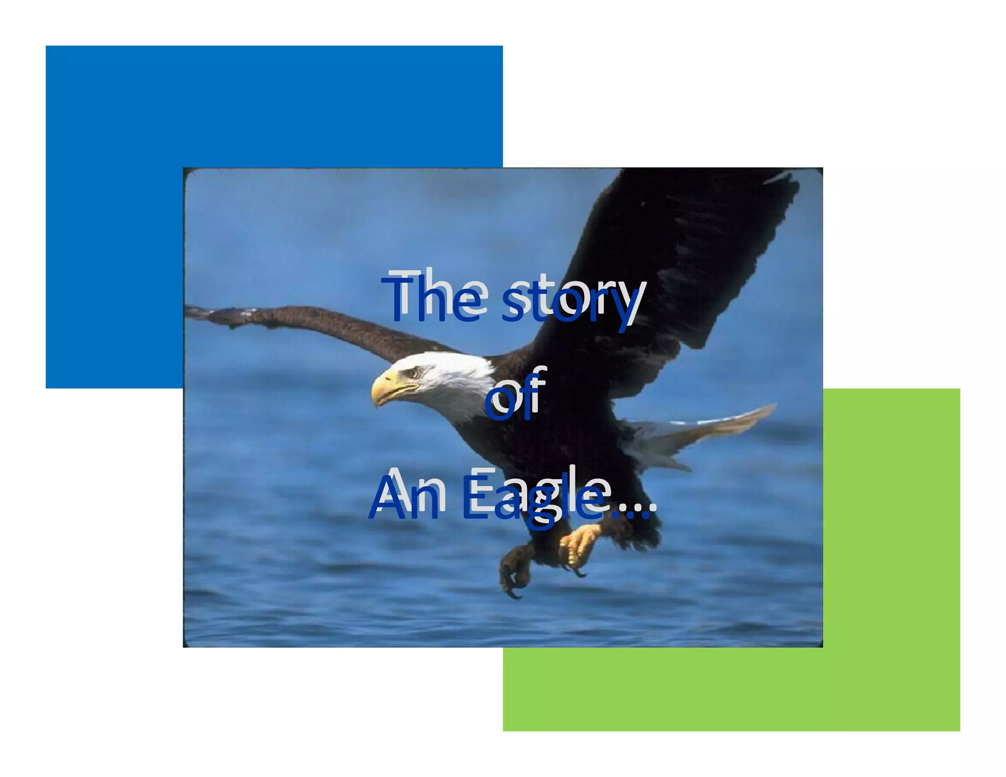 The story
The story
    of
    of
An Eagle…
An Eagle…
 