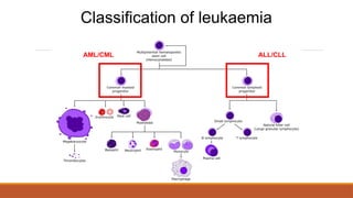 Classification of leukaemia
ALL/CLL
AML/CML
 