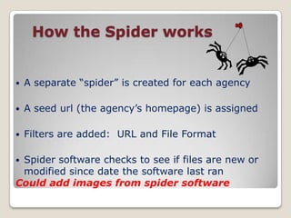 Identification of roles & responsibilities