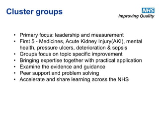 Cluster groups 
• Primary focus: leadership and measurement 
• First 5 - Medicines, Acute Kidney Injury(AKI), mental 
health, pressure ulcers, deterioration & sepsis 
• Groups focus on topic specific improvement 
• Bringing expertise together with practical application 
• Examine the evidence and guidance 
• Peer support and problem solving 
• Accelerate and share learning across the NHS 
 