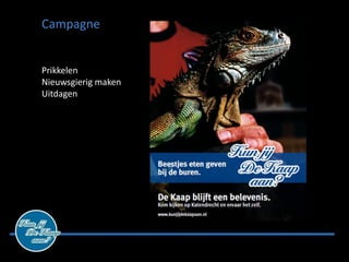 Campagne


Prikkelen
Nieuwsgierig maken
Uitdagen
 