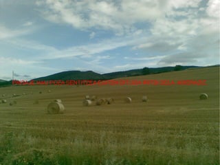 PAISAJE HAU POZA SENTITZEA EGITEN DIT.UDA IRITSI DELA  ADIERAZIZ. 