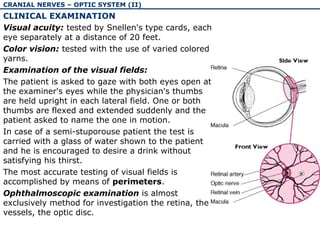 The physiology and pathology of cranial nerves I-VI | PPT