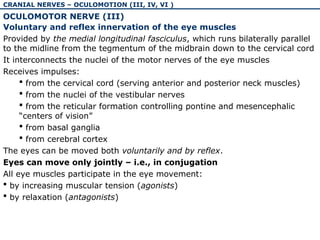 The physiology and pathology of cranial nerves I-VI | PPT