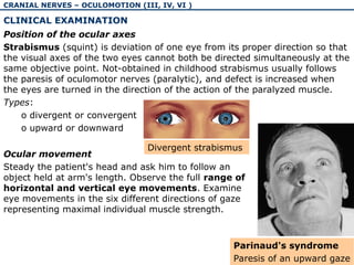The physiology and pathology of cranial nerves I-VI | PPT
