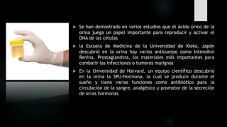  Se han demostrado en varios estudios que el ácido úrico de la
orina juega un papel importante para reproducir y activar el
DNA de las células
 la Escuela de Medicina de la Universidad de Kioto, Japón
descubrió en la orina hay varios anticuerpo como Interoikin
Renina, Prostaglandina, los materiales más importantes para
combatir las infecciones o tumores malignos
 En la Universidad de Harvard, un equipo científico descubrió
en la orina la SPU-Hormona, la cual se produce durante el
sueño y tiene varias funciones como antibiótico para la
circulación de la sangre, analgésico y promotor de la secreción
de otras hormonas
 