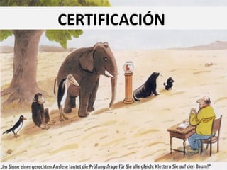 CERTIFICACIÓN
 