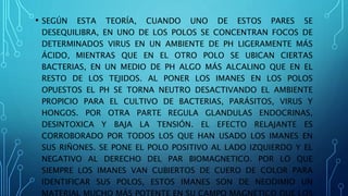 • SEGÚN ESTA TEORÍA, CUANDO UNO DE ESTOS PARES SE
DESEQUILIBRA, EN UNO DE LOS POLOS SE CONCENTRAN FOCOS DE
DETERMINADOS VIRUS EN UN AMBIENTE DE PH LIGERAMENTE MÁS
ÁCIDO, MIENTRAS QUE EN EL OTRO POLO SE UBICAN CIERTAS
BACTERIAS, EN UN MEDIO DE PH ALGO MÁS ALCALINO QUE EN EL
RESTO DE LOS TEJIDOS. AL PONER LOS IMANES EN LOS POLOS
OPUESTOS EL PH SE TORNA NEUTRO DESACTIVANDO EL AMBIENTE
PROPICIO PARA EL CULTIVO DE BACTERIAS, PARÁSITOS, VIRUS Y
HONGOS. POR OTRA PARTE REGULA GLANDULAS ENDOCRINAS,
DESINTOXICA Y BAJA LA TENSIÓN. EL EFECTO RELAJANTE ES
CORROBORADO POR TODOS LOS QUE HAN USADO LOS IMANES EN
SUS RIÑONES. SE PONE EL POLO POSITIVO AL LADO IZQUIERDO Y EL
NEGATIVO AL DERECHO DEL PAR BIOMAGNETICO. POR LO QUE
SIEMPRE LOS IMANES VAN CUBIERTOS DE CUERO DE COLOR PARA
IDENTIFICAR SUS POLOS, ESTOS IMANES SON DE NEODIMIO UN
 