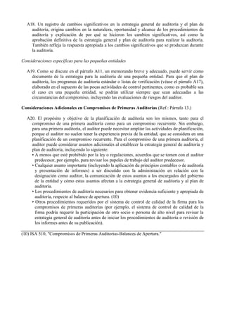 Nia 300 PlanificacióN De Una AuditoríA De Estados Financieros  En Castellano
