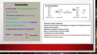 vitamin-niacin and pyridoxin