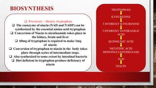 BIOSYNTHESIS
 Precursor – dietary tryptophan
 The coenzyme of niacin (NAD and NADP) can be
synthesized by the essential amino acid tryptophan
 Conversion of Niacin to nicotinamide takes place in
the kidney, brain and liver
 60mg of tryptophan is required to make 1mg
of niacin
 Conversion of tryptophan to niacin in the body takes
place through series of intermediate steps.
 Also synthesized to some extent by intestinal bacteria
 Diet deficient in tryptophan produce deficiency of
niacin
TRYPTOPHAN
KYNURENINE
3 HYDROXY KYNURENINE
3 HYDROXY ANTHRANILIC
ACID
QUINOLINIC ACID
NICOTINIC ACID
MONONUCLEOTIDE(NAM)
NAD
NIACIN
 