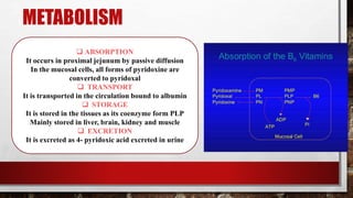 METABOLISM
 ABSORPTION
It occurs in proximal jejunum by passive diffusion
In the mucosal cells, all forms of pyridoxine are
converted to pyridoxal
 TRANSPORT
It is transported in the circulation bound to albumin
 STORAGE
It is stored in the tissues as its coenzyme form PLP
Mainly stored in liver, brain, kidney and muscle
 EXCRETION
It is excreted as 4- pyridoxic acid excreted in urine
 