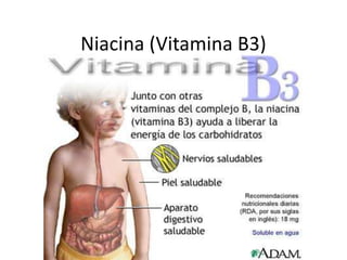 Niacina (Vitamina B3)
 