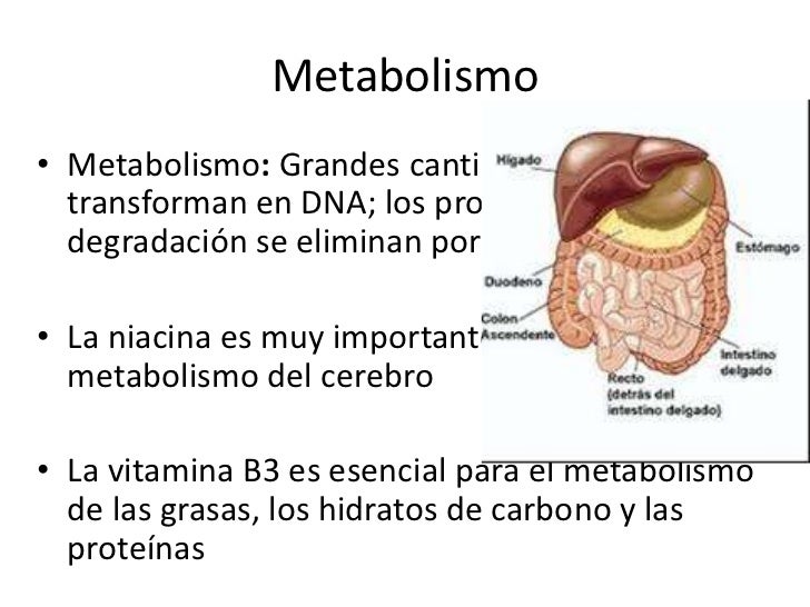 Imagen relacionada