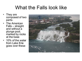 What the Falls look like They are composed of two parts-  The American Falls – straight and without a plunge pool, marked by rocks at the base 10% of the water from Lake Erie goes over these 