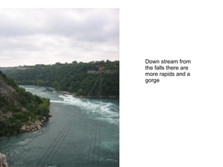 Down stream from the falls there are more rapids and a gorge 