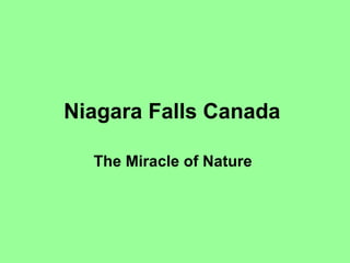 Niagara Falls Canada   The Miracle of Nature   