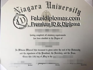 Niagara University degree