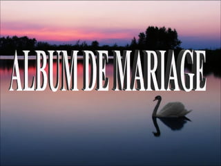 ALBUM DE MARIAGE 