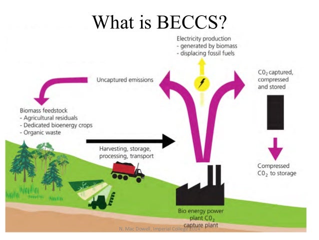 Resultado de imagen para beccs