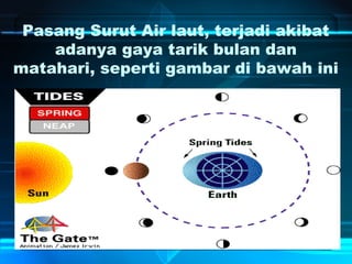 Pasang Surut Air laut, terjadi akibat
adanya gaya tarik bulan dan
matahari, seperti gambar di bawah ini
 