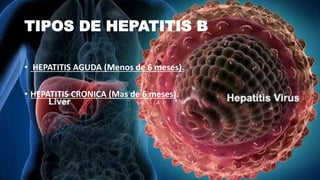 TIPOS DE HEPATITIS B
• HEPATITIS AGUDA (Menos de 6 meses).
• HEPATITIS CRONICA (Mas de 6 meses).
 