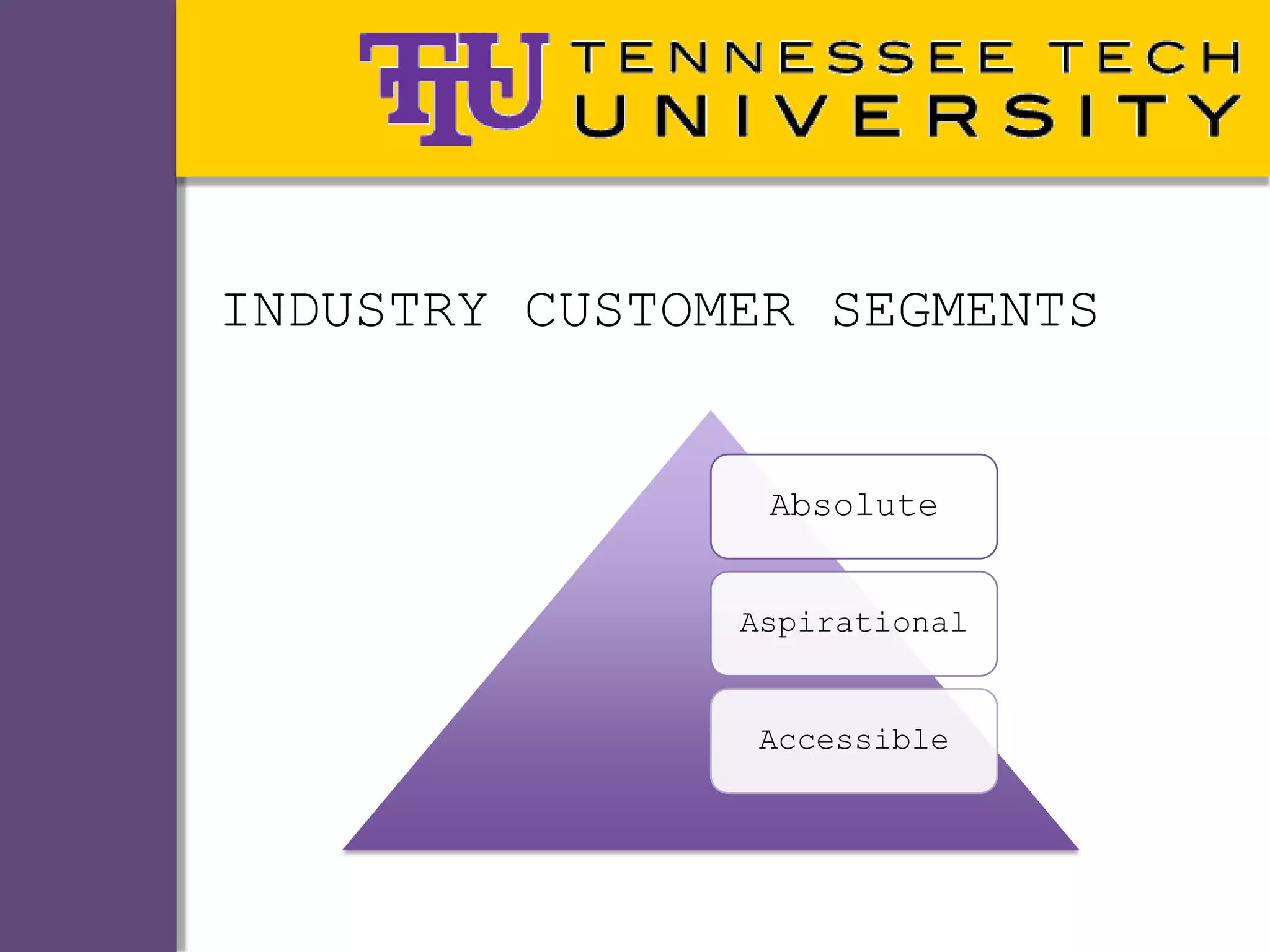 INDUSTRY CUSTOMER SEGMENTS


                Absolute


               Aspirational


               Accessible
 