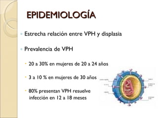 EPIDEMIOLOGÍA Estrecha relación entre VPH y displasia Prevalencia de VPH 20 a 30% en mujeres de 20 a 24 años 3 a 10 % en mujeres de 30 años 80% presentan VPH resuelve infección en 12 a 18 meses 