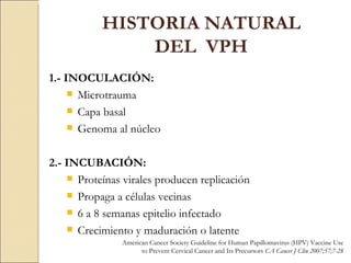 1.- INOCULACIÓN: Microtrauma Capa basal Genoma al núcleo 2.- INCUBACIÓN: Proteínas virales producen replicación  Propaga a células vecinas 6 a 8 semanas epitelio infectado Crecimiento y maduración o latente HISTORIA NATURAL DEL  VPH American Cancer Society Guideline for Human Papillomavirus (HPV) Vaccine Use to Prevent Cervical Cancer and Its Precursors  CA Cancer J Clin 2007;57;7-28 