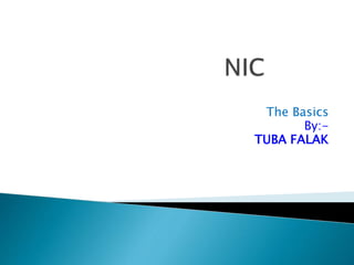 The Basics 
By:- 
TUBA FALAK 
 