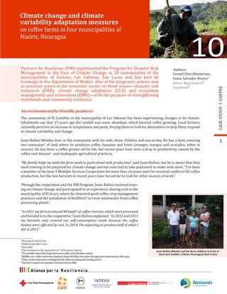 1
10Authors:
Isaías Salvador Rivera¹
Editors: Maya Schaerer²,
Tania Sirias³
Climate change and climate
variability adaptation measures
on coffee farms in four municipalities of
Madriz, Nicaragua
Leonel Díaz Altamirano,
COFFEECASESTUDY
An environmentally-friendly producer
The community of El Castillito in the municipality of Las Sabanas has been experiencing changes in its climate.
Inhabitants say that 15 years ago the rainfall was more abundant, which favored coffee growing. Local farmers
currently perceive an increase in temperature and pests, forcing them to look for alternatives to help them respond
to climate variability and change.
Justo Ru�ino Méndez lives in the community with his wife, three children and son-in-law. He has a farm covering
two manzanas4
of land where he produces coffee, bananas and fruits (oranges, mangos and avocados, when in
season). He has been a coffee grower all his life, but recent years have seen a drop in productivity caused by the
coffee rust disease5
and inadequate agricultural practices.
“My family helps me with the farm work to push ahead with production”, said Justo Ru�ino, but he is aware that they
need training to be prepared for climate change and has even had to take paid work to make ends meet. “I’ve been
a member of the June 5 Multiple Services Cooperative for more than six years and I’ve received credits to lift coffee
production, but the low harvests in recent years have forced me to look for other sources of work.”
Partners for Resilience (PfR) implemented the Program for Disaster Risk
Management in the Face of Climate Change in 28 communities of the
municipalities of Somoto, Las Sabanas, San Lucas and San José de
Cusmapa in the department of Madriz. One of the program’s actions was
to sensitize actors in the economic sector on three issues—disaster risk
reduction (DRR), climate change adaptation (CCA) and ecosystem
management and restoration (EMR)—with the purpose of strengthening
livelihoods and community resilience.
Justo Ru�ino Méndez and his three children in front of
their new bio�ilter. (Photo: Nicaraguan Red Cross)
Through the cooperative and the PfR Program, Justo Ru�ino received train-
ing on climate change and participated in an experience sharing visit to the
municipality of El Jícaro, where he observed good coffee crop management
practices and the installation of bio�ilters6
to treat wastewater from coffee
processing plants7
.
“In 2011 my farm produced 40 loads8
of coffee cherries, which were processed
and handed in to the cooperative,” Justo Ru�ino explained. “In 2012 and 2013
my harvests only covered our self-consumption needs because the coffee
bushes were affected by rust. In 2014, I’m expecting to produce half of what I
did in 2011.”
¹Nicaraguan Red Cross
²Netherlands Red Cross
³Journalist
⁴One manzana is the equivalent of 7,026 square meters.
⁵Thescienti�icnameofthefungusthatcausescoffeerustisHemileiavastatrix.
6
Bio�iltersareacoffeewastewatertreatmentsystemthat�iltersthewatersthroughsandtoeliminatethecoffeepulp.
7
Thesearethewastewatersresultingfromthecoffeede-pulpingandwashingprocess.
8
Oneloadisequaltotwoquintalsofairedparchmentcoffee.
 
