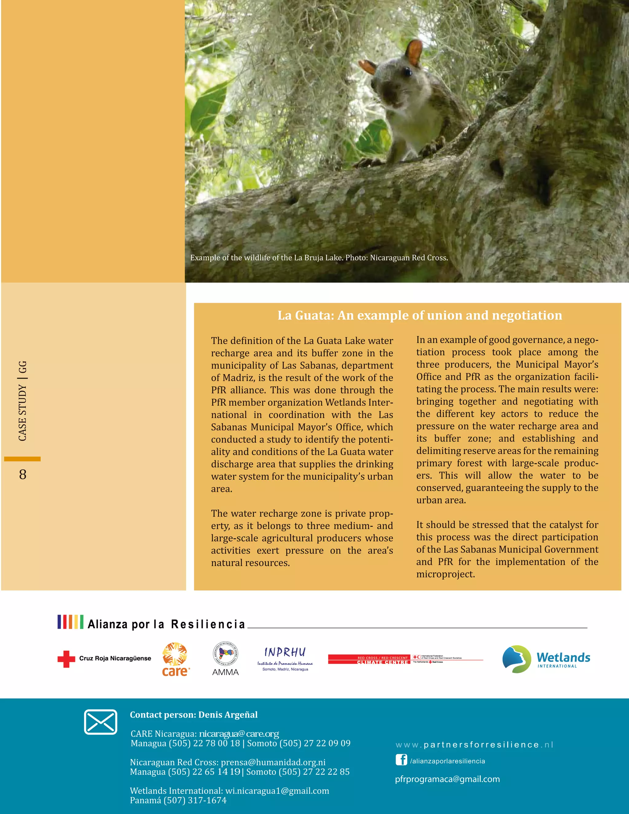 8
Contact person: Denis Argeñal
Nicaraguan Red Cross: prensa@humanidad.org.ni
pfrprogramaca@gmail.com
Wetlands International: wi.nicaragua1@gmail.com
Panamá (507) 317-1674
The de�inition of the La Guata Lake water
recharge area and its buffer zone in the
municipality of Las Sabanas, department
of Madriz, is the result of the work of the
PfR alliance. This was done through the
PfR member organization Wetlands Inter-
national in coordination with the Las
Sabanas Municipal Mayor’s Of�ice, which
conducted a study to identify the potenti-
ality and conditions of the La Guata water
discharge area that supplies the drinking
water system for the municipality’s urban
area.
The water recharge zone is private prop-
erty, as it belongs to three medium- and
large-scale agricultural producers whose
activities exert pressure on the area’s
natural resources.
La Guata: An example of union and negotiation
In an example of good governance, a nego-
tiation process took place among the
three producers, the Municipal Mayor’s
Of�ice and PfR as the organization facili-
tating the process. The main results were:
bringing together and negotiating with
the different key actors to reduce the
pressure on the water recharge area and
its buffer zone; and establishing and
delimiting reserve areas for the remaining
primary forest with large-scale produc-
ers. This will allow the water to be
conserved, guaranteeing the supply to the
urban area.
It should be stressed that the catalyst for
this process was the direct participation
of the Las Sabanas Municipal Government
and PfR for the implementation of the
microproject.
Example of the wildlife of the La Bruja Lake. Photo: Nicaraguan Red Cross.
GGCASESTUDY
Managua (505) 22 65 14 19 | Somoto (505) 27 22 22 85
CARE Nicaragua: nicaragua@care.org
Managua (505) 22 78 00 18 | Somoto (505) 27 22 09 09
 