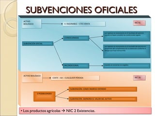 SUBVENCIONES OFICIALES ACTIVO BIOLÓGICO V. RAZONABLE – CTES VENTA INCONDICIONAL SUBVENCIÓN OFICIAL CONDICIONADA Los ingresos se reconocerán en el resultado del ejercicio cuando se hayan cumplido las condicionales legales Los ingresos se reconocerán en el resultado del ejercicio en proporción del cumplimiento de la subvención conforme al tiempo que haya transcurrido Cuando se conviertan en exigibles NIC 41 ACTIVO BIOLÓGICO COSTE – AA – CUALQUIER PÉRDIDA NIC 20 2 POSIBILIDADES SUBVENCIÓN: COMO INGRESO DIFERIDO SUBVENCIÓN: AMINORA EL VALOR DEL ACTIVO 
