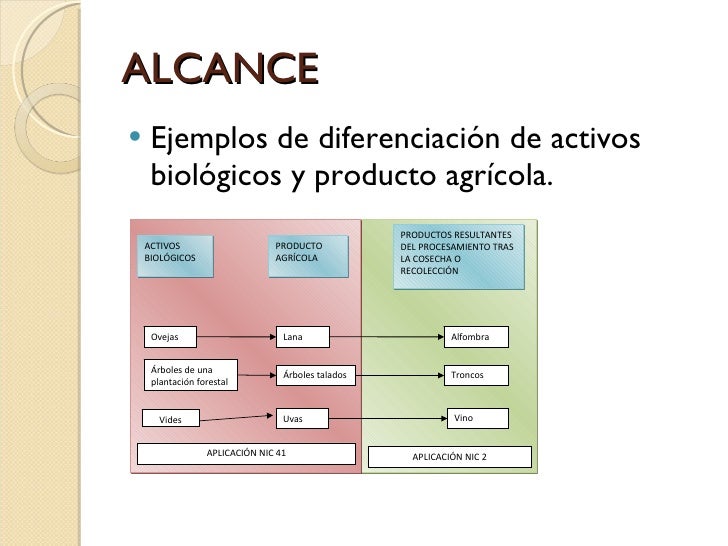 Resultado de imagen para imagenes de la nic 41