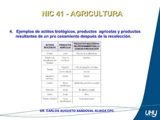 10
DR. CARLOS AUGUSTO SANDOVAL ALIAGA CPC.
4. Ejemplos de actitos biológicos, productos agrícolas y productos
resultantes de un pro cesamiento después de la recolección.
NIC 41 - AGRICULTURANIC 41 - AGRICULTURA
 