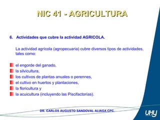 12
DR. CARLOS AUGUSTO SANDOVAL ALIAGA CPC.
6. Actividades que cubre la actividad AGRICOLA.
La actividad agrícola (agropecuaria) cubre diversos tipos de actividades, 
tales como:       
 
el engorde del ganado, 
la silvicultura, 
los cultivos de plantas anuales o perennes, 
el cultivo en huertos y plantaciones, 
la floricultura y 
la acuicultura (incluyendo las Piscifactorías).
NIC 41 - AGRICULTURANIC 41 - AGRICULTURA
 