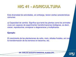 13
DR. CARLOS AUGUSTO SANDOVAL ALIAGA CPC.
Esta diversidad de actividades, sin embargo, tienen ciertas características 
comunes: 
 
a) Capacidad de cambio. Significa que tanto las plantas como los animales 
vivos son capaces de experimentar transformaciones biológicas, es decir, 
crecer, reproducirse, envejecer o degenerarse y multiplicarse. 
 
Ejemplo:
 
El crecimiento de las plantaciones de caña, maíz, árboles frutales, así como 
la transformación de los terneros en becerros, etc. 
NIC 41 - AGRICULTURANIC 41 - AGRICULTURA
 