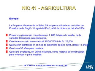 30
DR. CARLOS AUGUSTO SANDOVAL ALIAGA CPC.
Ejemplo:
 
La Empresa Maderas de la Selva SA empresa ubicada en la ciudad de 
Pucallpa de la Región Ucayali del Perú, al31 de diciembre del año 2004: 
Posee una plantación consistente en 1 ,000 árboles de tornillo, de la 
variedad Cedrelinga catenaeformis.
Que tiene un costo acumulado al 31/DIC/2003 de S/. 25,000. 
Que fueron plantados en el mes de diciembre de año 1994. (Hace 11 años) 
Que toma 30 años para madurar. 
Que será empleado, en última instancia, como material de construcción 
para viviendas o para muebles.
NIC 41 - AGRICULTURANIC 41 - AGRICULTURA
 