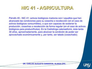 31
DR. CARLOS AUGUSTO SANDOVAL ALIAGA CPC.
Párrafo 45 - NIC 41: activos biológicos maduros son I aquellos que han 
alcanzado las condiciones para su cosecha o recolección (en el caso de 
activos biológicos consumibles), o que son capaces de sostener la 
producción, cosechas o recolección de forma regular (en el caso de activos 
biológicos para producirfrutos). En la Cedrelinga catenaeformi, ésta tarda 
30 años, aproximadamente, para alcanzar la condición de poder ser 
aprovechado económicamente y, por tanto, ser talado (cosechado). 
NIC 41 - AGRICULTURANIC 41 - AGRICULTURA
 