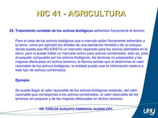 39
DR. CARLOS AUGUSTO SANDOVAL ALIAGA CPC.
25. Tratamiento contable de los activos biológicos adheridos físicamente al terreno. 
 
Para el caso de los activos biológicos que a menudo están físicamente adheridos a 
la tierra, como por ejemplo los árboles de una plantación forestal o de un bosque, 
donde pueda que NO EXISTA un mercado separado para los activos plantados en la 
tierra, pero si puede haber un mercado activo para activos combinados, esto es, para 
el paquete compuesto por los activos biológicos, los terrenos no preparados y las 
mejoras efectuadas en dichos terrenos, la Norma señala que al determinar el valor 
razonable de los activos biológicos, la entidad puede usar la información relativa a 
este tipo de activos combinados. 
 
Ejemplo:
 
Se puede llegar al valor razonable de los activos biológicos restando, del valor 
razonable que corresponda a los activos combinados, el valor razonable de los 
terrenos sin preparar y de las mejoras efectuadas en dichos terrenos. 
NIC 41 - AGRICULTURANIC 41 - AGRICULTURA
 