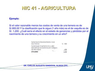 42
DR. CARLOS AUGUSTO SANDOVAL ALIAGA CPC.
Ejemplo:
 
Si el valor razonable menos los costos de venta de una ternera es de 
S/.800.00 Y la clasificación que le sigue (1 año más) es el de vaquilla es de 
S/. 1,200. ¿Cuál sería el efecto en el estado de ganancias y pérdidas por el 
nacimiento de una ternera y su crecimiento en un año? 
NIC 41 - AGRICULTURANIC 41 - AGRICULTURA
 