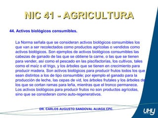 58
DR. CARLOS AUGUSTO SANDOVAL ALIAGA CPC.
NIC 41 - AGRICULTURANIC 41 - AGRICULTURA
44. Activos biológicos consumibles.
 
La Norma señala que se consideran activos biológicos consumibles los 
que van a ser recolectados como productos agrícolas o vendidos como 
activos biológicos. Son ejemplos de activos biológicos consumibles las 
cabezas de ganado de las que se obtiene la carne, o las que se tienen 
para vender, así como el pescado en las piscifactorías, los cultivos, tales 
como el maíz o el trigo, y los árboles que se tienen en crecimiento para 
producir madera. Son activos biológicos para producir frutos todos los que 
sean distintos a los de tipo consumible; por ejemplo el ganado para la 
producción de leche, las cepas de vid, los árboles frutales y los árboles de 
los que se cortan ramas para leña, mientras que el tronco permanece. 
Los activos biológicos para producir frutos no son productos agrícolas, 
sino que se consideran como auto-regenerativos.
 