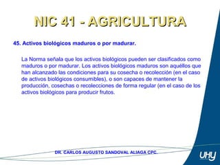 59
DR. CARLOS AUGUSTO SANDOVAL ALIAGA CPC.
NIC 41 - AGRICULTURANIC 41 - AGRICULTURA
45. Activos biológicos maduros o por madurar.
 
La Norma señala que los activos biológicos pueden ser clasificados como 
maduros o por madurar. Los activos biológicos maduros son aquéllos que 
han alcanzado las condiciones para su cosecha o recolección (en el caso 
de activos biológicos consumibles), o son capaces de mantener la 
producción, cosechas o recolecciones de forma regular (en el caso de los 
activos biológicos para producir frutos. 
 