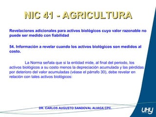 69
DR. CARLOS AUGUSTO SANDOVAL ALIAGA CPC.
NIC 41 - AGRICULTURANIC 41 - AGRICULTURA
Revelaciones adicionales para activos biológicos cuyo valor razonable no
puede ser medido con fiabilidad
54. Información a revelar cuando los activos biológicos son medidos al
costo.
 
La Norma señala que si la entidad mide, al final del periodo, los 
activos biológicos a su costo menos la depreciación acumulada y las pérdidas 
por deterioro del valor acumuladas (véase el párrafo 30), debe revelar en 
relación con tales activos biológicos: 
 
 