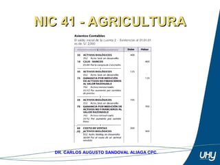 79
DR. CARLOS AUGUSTO SANDOVAL ALIAGA CPC.
NIC 41 - AGRICULTURANIC 41 - AGRICULTURA
 